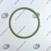 Кольцо уплотнительное 5340.1213038